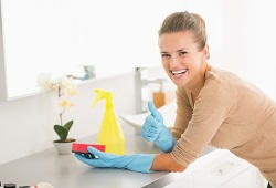 sw1 domestic cleaners in pimlico