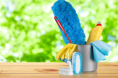 Professional one-off cleaning service for Pimlico homes and flats