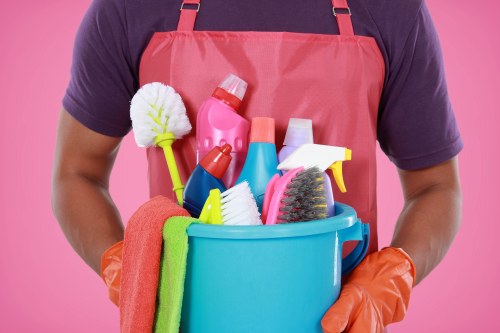 Local domestic cleaning team working in Pimlico apartment block