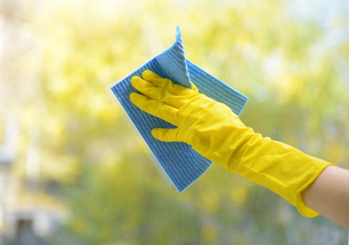 Professional carpet cleaning service for Pimlico homes and flats