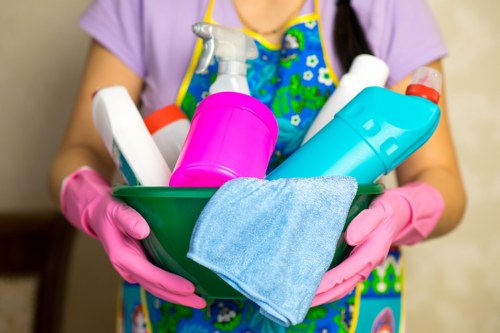 Regular cleaning service for Pimlico homes and flats