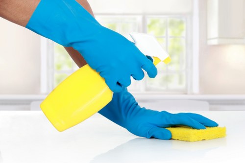 Detailed review of a carpet cleaning complaint