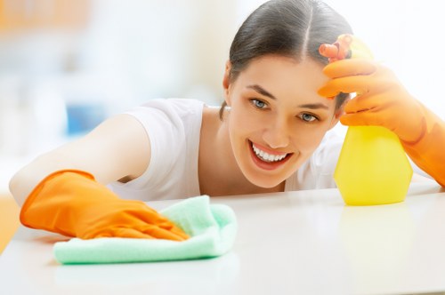 Local cleaning support for Pimlico properties