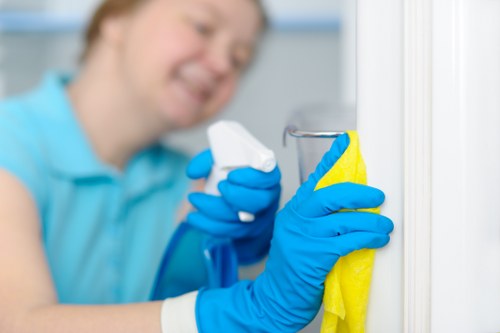 Bathroom sanitising as part of a Pimlico move in cleaning service