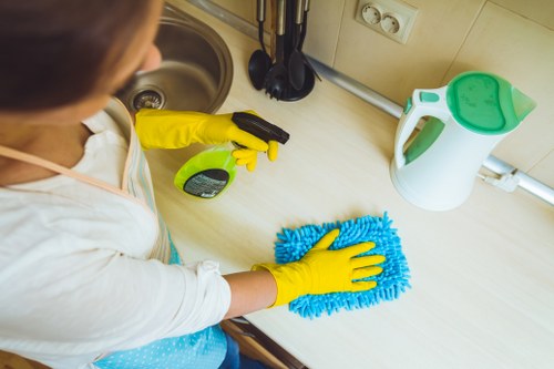 Local rug cleaning service for residential and commercial properties