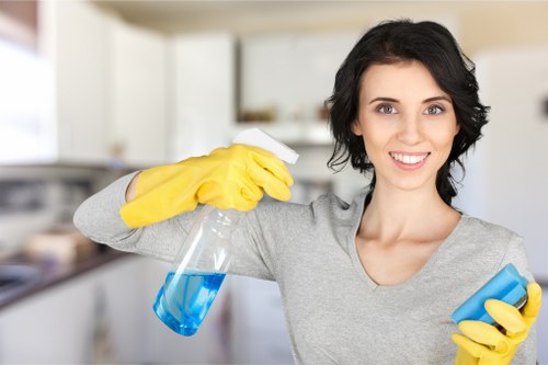 Local cleaner working in a Pimlico period property living room