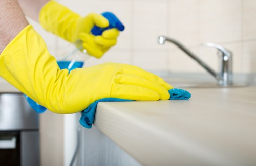 Kitchen and bathroom domestic cleaning in Pimlico