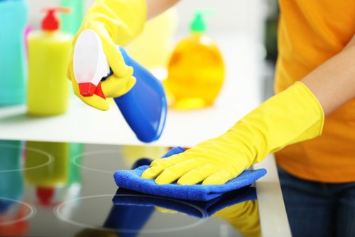 Pimlico window cleaning for upper-floor and hard-to-reach windows