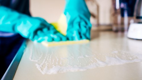 Professional move in cleaning in a Pimlico period property with careful dust removal