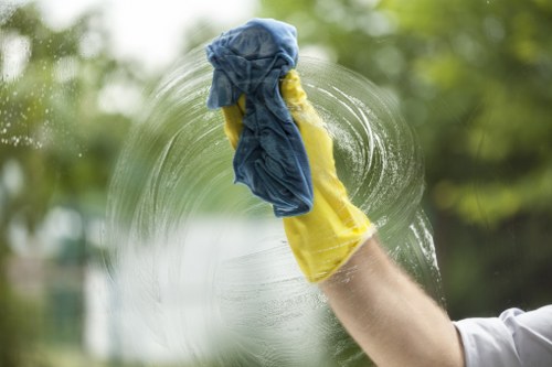 Cleaning a stubborn spill from a sofa in Pimlico