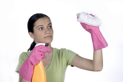 Reliable home cleaning service for residents near Pimlico and nearby central London areas