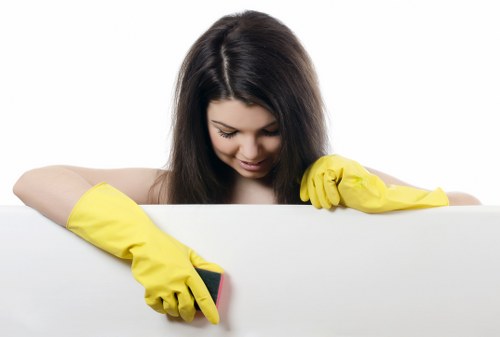 Upholstery and carpet stain treatment for local Pimlico customers