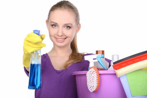 Deep cleaning equipment used for pet stain removal on upholstery