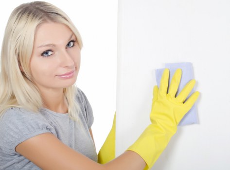 Weekly cleaning tasks for a Pimlico kitchen and living area