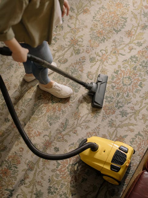 A person is performing surface cleaning on a traditional patterned area rug using a vacuum cleaner with a hose attachment. The rug features intricate floral motifs in subdued tones, lying on a wooden floor. The individual, dressed in casual clothing and white sneakers, is standing indoors, and the room is well-lit. The vacuum cleaner, which is yellow with black accents, appears to be a portable model suitable for deep cleaning and sanitisation purposes. This scene illustrates professional domestic cleaning techniques, emphasizing thorough removal of dust and debris from textile surfaces, consistent with the services provided by Carpet Cleaning Pimlico in their emergency carpet cleaning after floods in Pimlico. The setting is indicative of a residential living space focused on maintaining hygiene and freshness through detailed surface and textile cleaning.